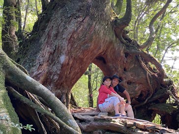 屋久島ガイドクラブに投稿された画像（2020/8/4）