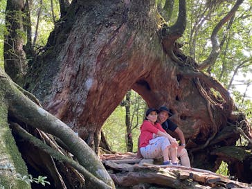 屋久島ガイドクラブに投稿された画像（2020/8/4）