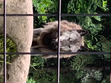 旭川市旭山動物園に投稿された画像（2020/8/4）