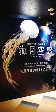 サンシャイン水族館に投稿された画像（2020/8/4）