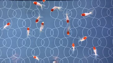 すみだ水族館に投稿された画像（2020/8/5）