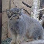 那須どうぶつ王国に投稿された画像（2020/8/5）