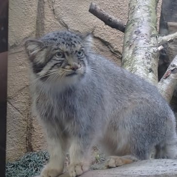 那須どうぶつ王国に投稿された画像（2020/8/5）