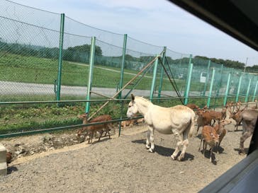 岩手サファリパークに投稿された画像（2020/8/5）