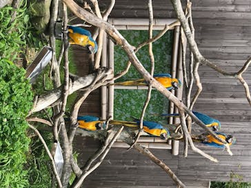 岩手サファリパークに投稿された画像（2020/8/5）