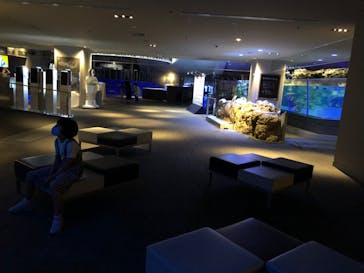 すみだ水族館に投稿された画像（2020/8/5）