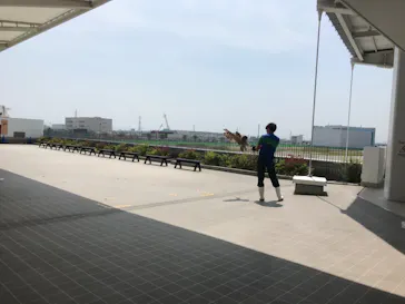 仙台うみの杜水族館に投稿された画像（2020/8/5）