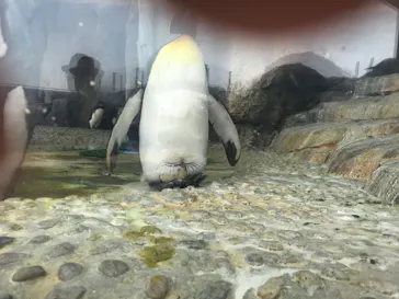 仙台うみの杜水族館に投稿された画像（2020/8/5）