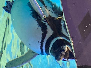 すみだ水族館に投稿された画像（2020/8/5）