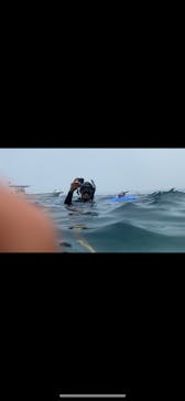 MalDive（モルダイブ）に投稿された画像（2020/8/5）