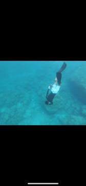 MalDive（モルダイブ）に投稿された画像（2020/8/5）