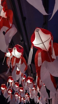 すみだ水族館に投稿された画像（2020/8/5）