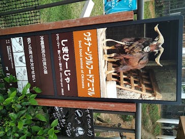 沖縄こどもの国に投稿された画像（2020/7/5）