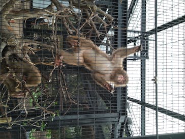 沖縄こどもの国に投稿された画像（2020/7/5）