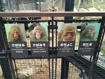 沖縄こどもの国に投稿された画像（2020/7/5）