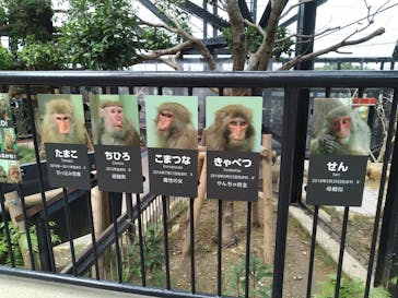 沖縄こどもの国に投稿された画像（2020/7/5）