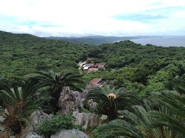 アスムイハイクスに投稿された画像（2020/8/5）