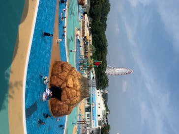 日本モンキーパークに投稿された画像（2020/8/5）