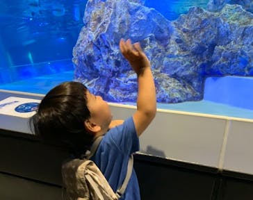 すみだ水族館に投稿された画像（2020/8/5）