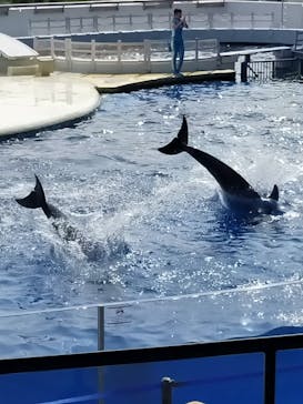 京都水族館に投稿された画像（2020/8/5）