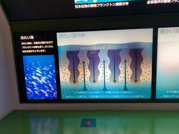 アクアワールド茨城県大洗水族館に投稿された画像（2020/8/5）