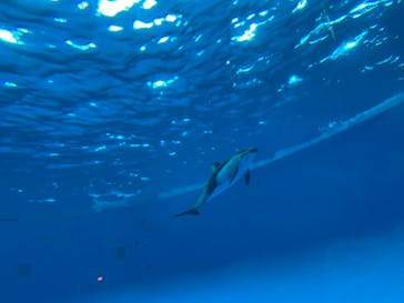 アクアワールド茨城県大洗水族館に投稿された画像（2020/8/5）