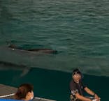 株式会社Gに投稿された画像（2020/8/5）