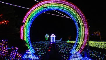 伊豆ぐらんぱる公園に投稿された画像（2020/8/5）