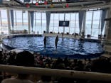 アクアワールド茨城県大洗水族館に投稿された画像（2020/8/6）