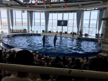 アクアワールド茨城県大洗水族館に投稿された画像（2020/8/5）