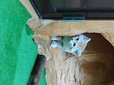 那須どうぶつ王国に投稿された画像（2020/8/6）