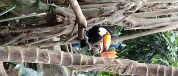 那須どうぶつ王国に投稿された画像（2020/8/6）