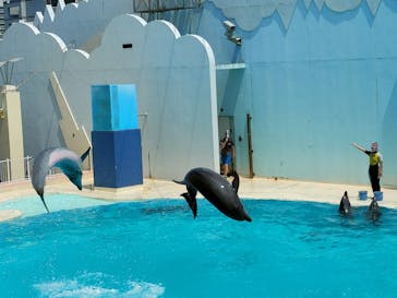 株式会社Gに投稿された画像（2020/8/6）