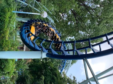 としまえんに投稿された画像（2020/8/6）