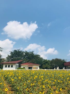 成田ゆめ牧場に投稿された画像（2020/8/6）