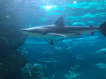 株式会社Gに投稿された画像（2020/8/6）