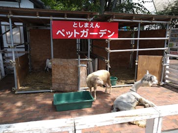 としまえんに投稿された画像（2020/8/6）