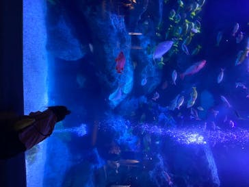 すみだ水族館に投稿された画像（2020/8/6）