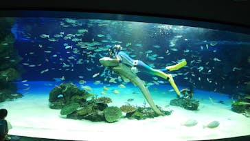 サンシャイン水族館に投稿された画像（2020/8/6）