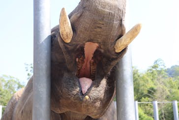 しろとり動物園に投稿された画像（2020/8/6）