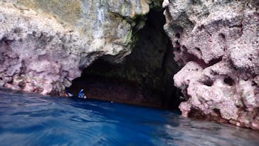 ダイビングショップ Sea Free（シーフリー）に投稿された画像（2020/8/6）