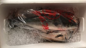 錦フィッシングパークに投稿された画像（2020/8/6）