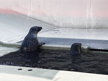 株式会社Gに投稿された画像（2020/8/6）