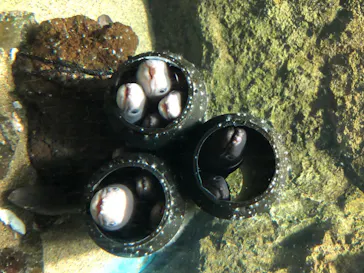 仙台うみの杜水族館に投稿された画像（2020/8/6）