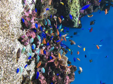 仙台うみの杜水族館に投稿された画像（2020/8/6）
