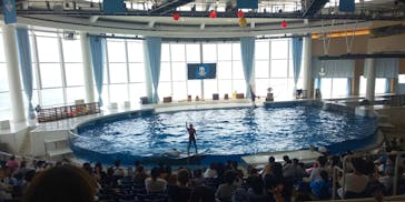 アクアワールド茨城県大洗水族館に投稿された画像（2020/8/6）