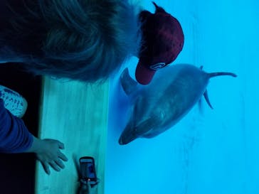 アクアワールド茨城県大洗水族館に投稿された画像（2020/8/6）