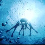 MalDive（モルダイブ）に投稿された画像（2020/8/6）