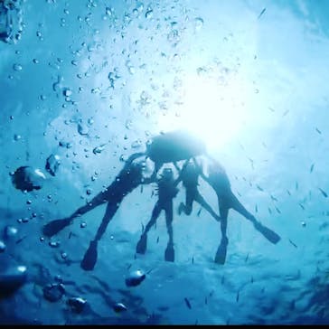 MalDive（モルダイブ）に投稿された画像（2020/8/6）