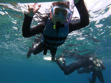 MalDive（モルダイブ）に投稿された画像（2020/8/6）